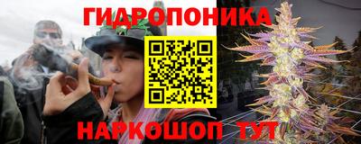 сатива Малгобек