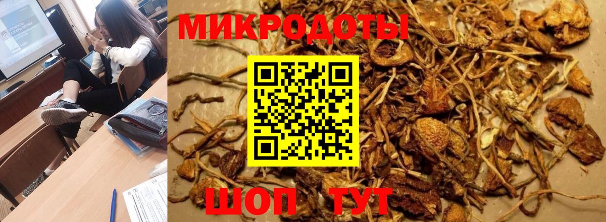 Хасавюрт  Галлюциногенные грибы мицелий  Псилоцибиновые грибы мицелий  Вход с VPN 